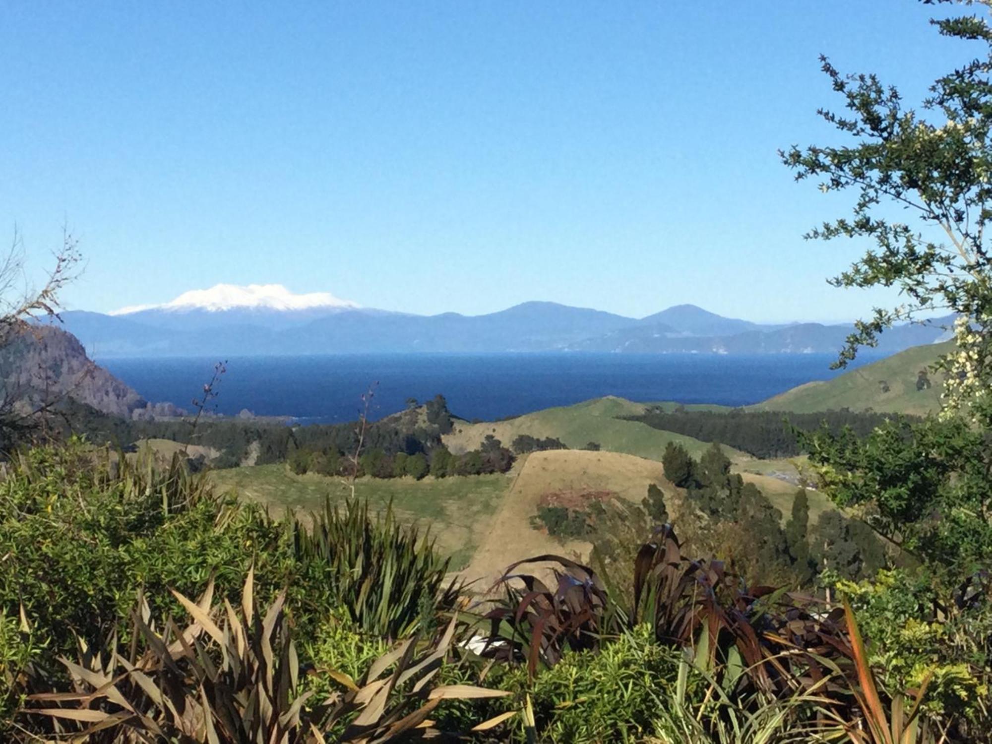 Whakaipo Bay Cabin Retreat Taupomeer Buitenkant foto
